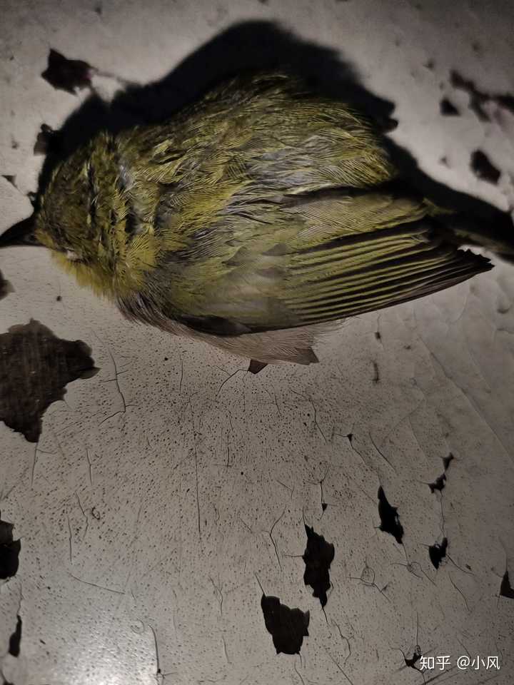 关于$釻NQB橨~縬u掓犩lV﨟眱坃羵kx?8蟈踫?^'?的信息