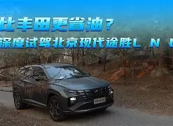 本菲卡清晨遗憾出局上海申花清晨远射贴柱，这一次真的今夜纽卡斯尔造点机会的简单介绍